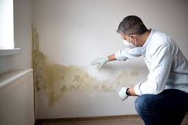 Best Mold-Related Health Consultation in USA